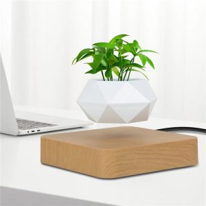 Hdeb0ce48900c477c8392e59a3ed18513A.jpg Magnetic Floating Plant Pot