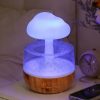 S2b6f7b66a0714a55ba21c7647607b59eN_c8143d4c-eb43-4fd8-b78e-0096bbe2b4a0.jpg Rain Cloud LED Humidifier