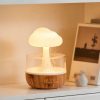 S355f694604104e61aee92362fc71ffbds.jpg Rain Cloud LED Humidifier
