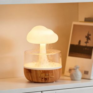 S355f694604104e61aee92362fc71ffbds.jpg Rain Cloud LED Humidifier