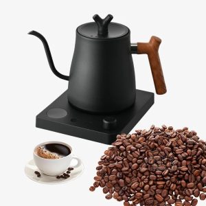 Electric Gooseneck Kettle — Smart Temperature Control 1L Stainless