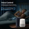 Smart WiFi Plug — Energy Monitor Works with Alexa