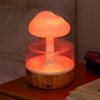 S7e3f4067010d40c784f6b157e76f6378z.jpg Rain Cloud LED Humidifier