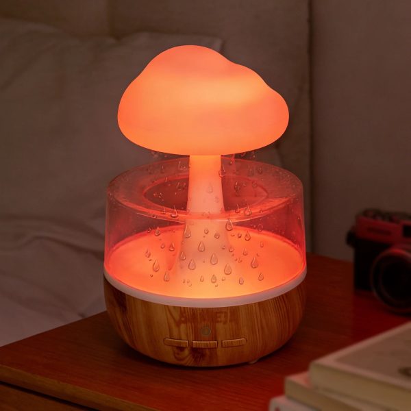 S7e3f4067010d40c784f6b157e76f6378z.jpg Rain Cloud LED Humidifier