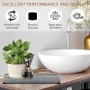 Water Absorbing Stone Tray — Diatomite 3-Pack Fast Drying